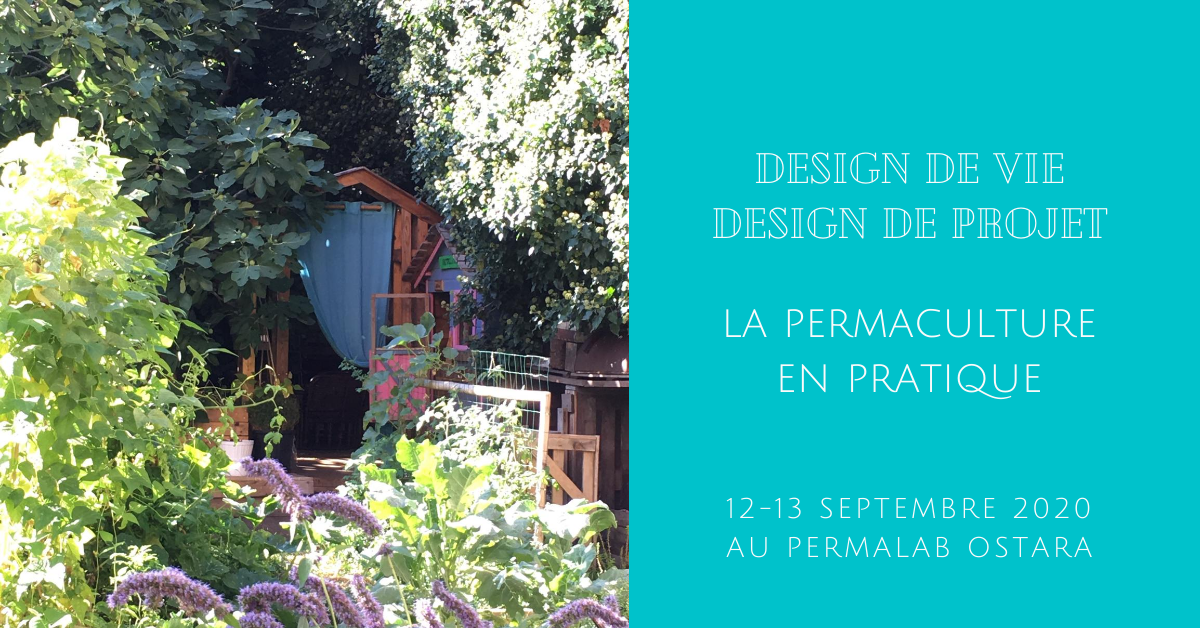 Design de vie Design de projet en permaculture